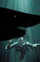 PLUNGE #1 CARD STOCK GARY FRANK VAR ED