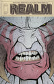 REALM #14 CVR B ALLISON