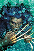 RETURN OF WOLVERINE #2 - Kings Comics