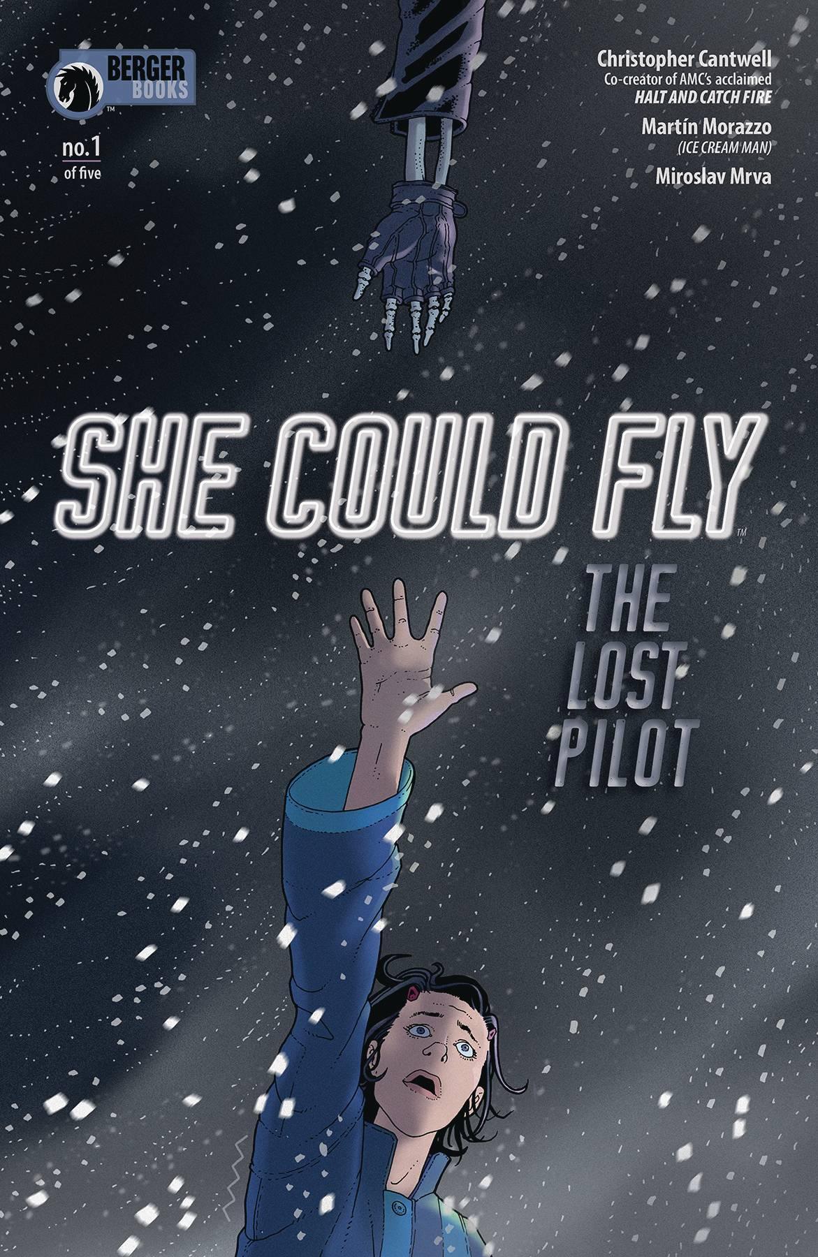 SHE COULD FLY LOST PILOT #1 - Kings Comics