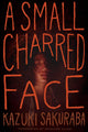 SMALL CHARRED FACE NOVEL SC