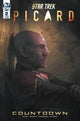 STAR TREK PICARD COUNTDOWN #2 CVR A PITRE-DUROCHER