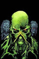 SWAMP THING VOL 5 ANNUAL #2