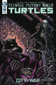 TEENAGE MUTANT NINJA TURTLES (2011) #99 CVR B EASTMAN