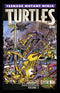 TMNT COLOR CLASSICS SERIES 3 #5 - Kings Comics