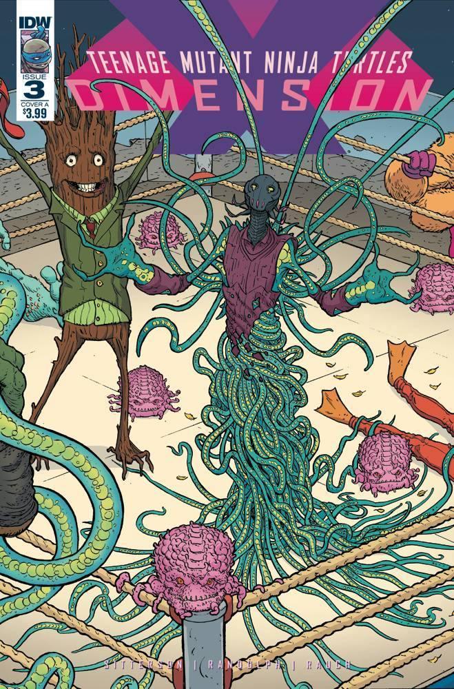 TMNT DIMENSION X #3 CVR A PITARRA