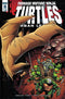 TMNT URBAN LEGENDS #5 CVR B FOSCO LARSEN - Kings Comics