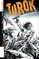 TUROK DINOSAUR HUNTER VOL 2 #12 10 COPY SEARS B&W INCV