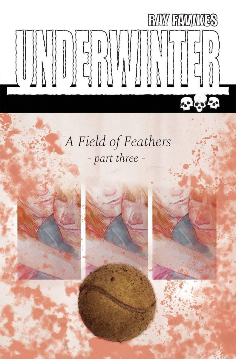 UNDERWINTER FIELD OF FEATHERS #3