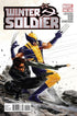 WINTER SOLDIER #12 - Kings Comics