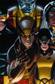 WOLVERINE FIRST CLASS #12