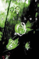 WYTCHES #6